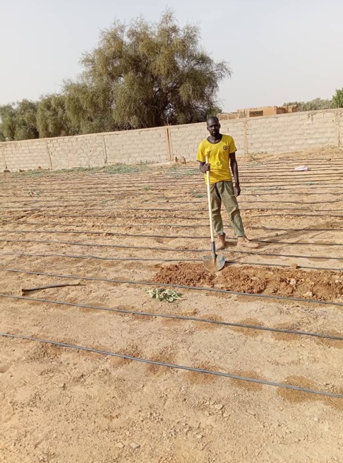 Irrigation goutte-à-goutte chez Mme SY Djeinaba
